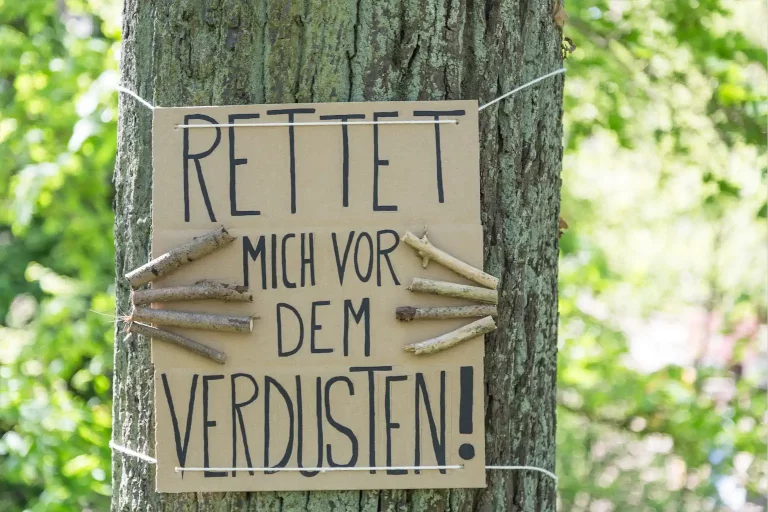 1b AndreasSchütz Nichtssagen 1024h 50