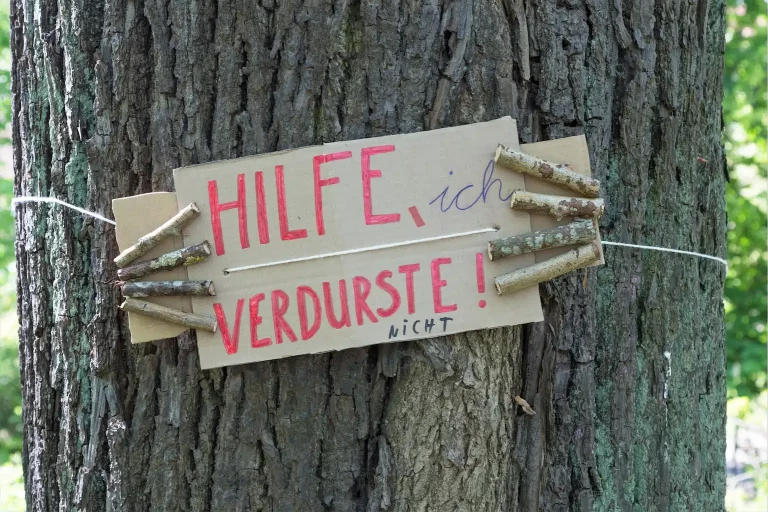 1c AndreasSchütz Nichtssagen 1024h 50