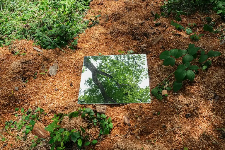 7 Romy Boentges Trauffler Mensch In Der Natur Nichtssagen 1024h 50