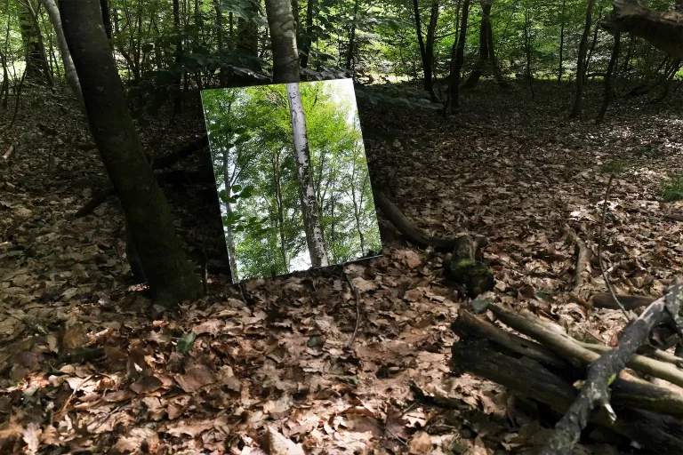 9 Romy Boentges Trauffler Mensch In Der Natur Nichtssagen 1024h 50