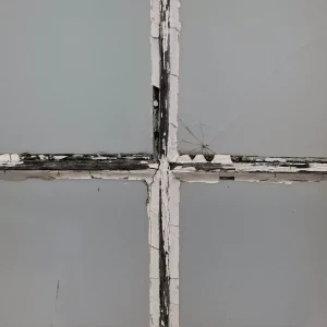 001 Martin Hoffmann Viertel Martin Hoffmann Ergebnis