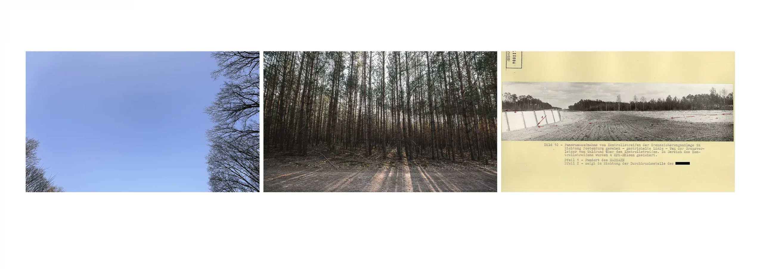 1 BH Benedikt Hofmann Ergebnis