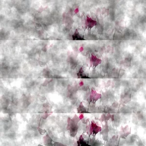 1 Sylvia Scannell Ergebnis