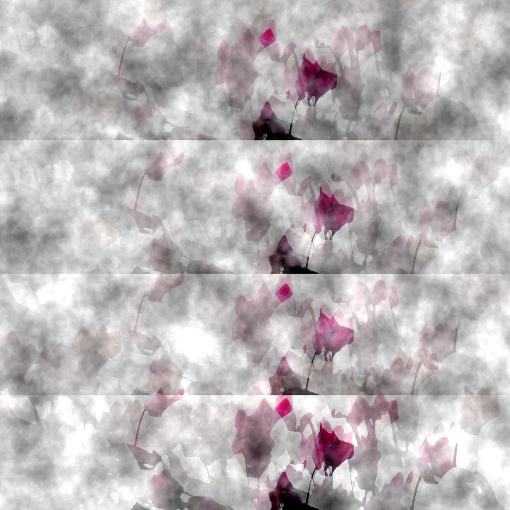 1 Sylvia Scannell Ergebnis