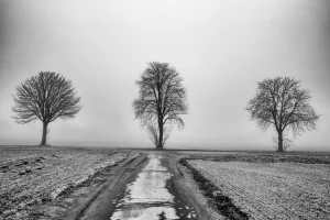 1 Esteban Lombeyda Esteban Lombeyda Ergebnis