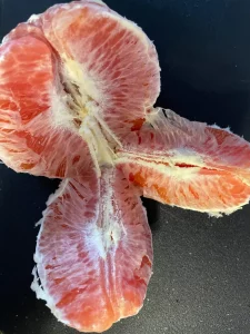 1 Una Viertel In Reinkultur Ergebnis