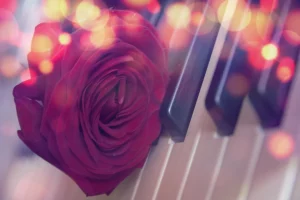 1 Dietmar Pfaff Rose Keyboard.jpg Dietmar Pfaff Ergebnis