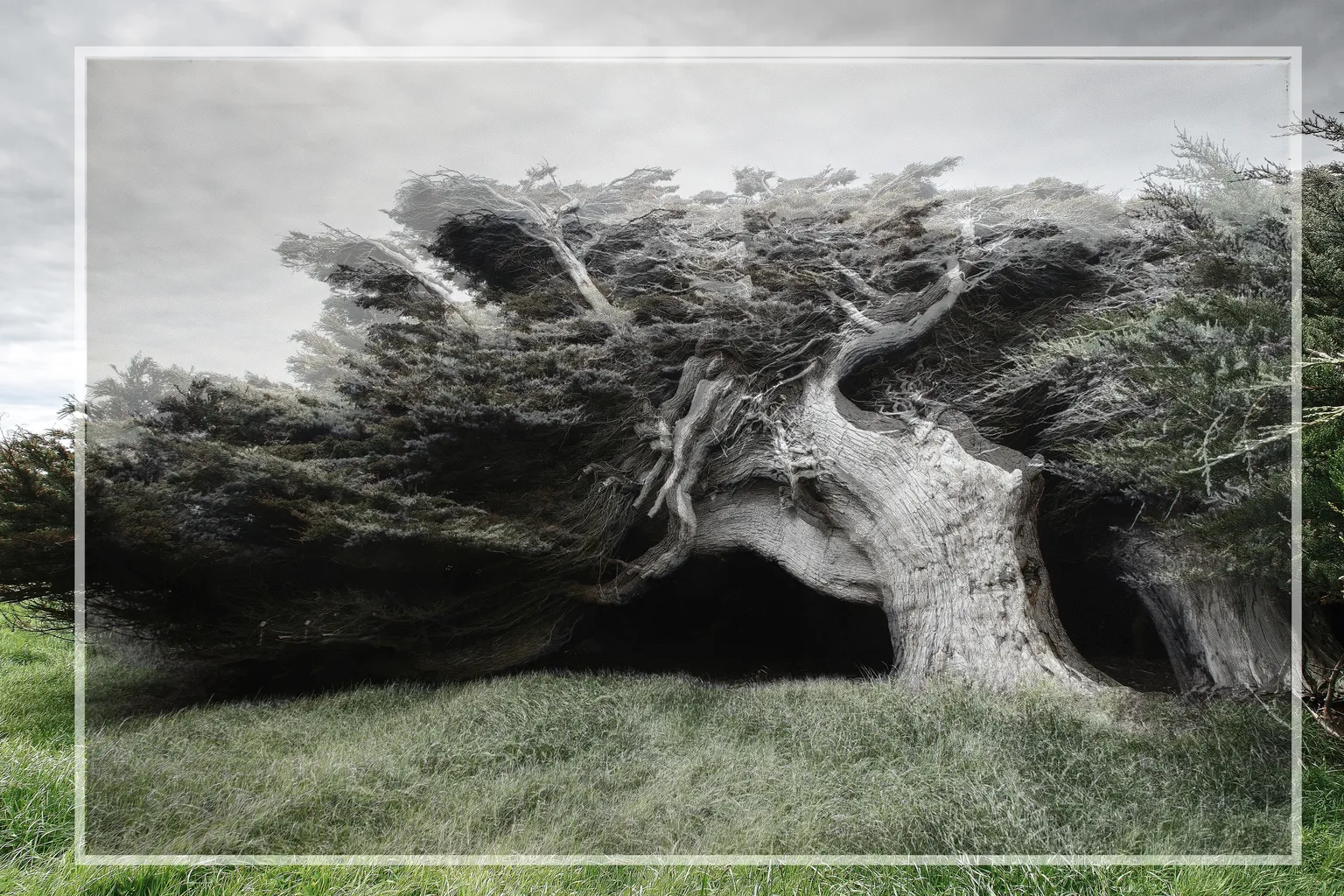 1 Renate Gumprich D Original Und SW Renate Gumprich Donau Ergebnis