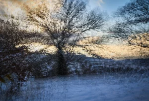 1 Renate Gumprich D Der Tag Beginnt Renate Gumprich Donau Ergebnis