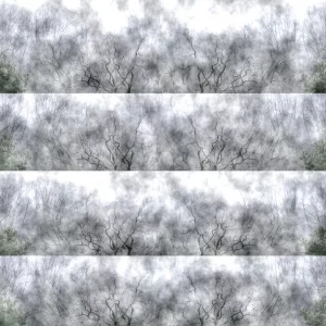 2 Sylvia Scannell Ergebnis