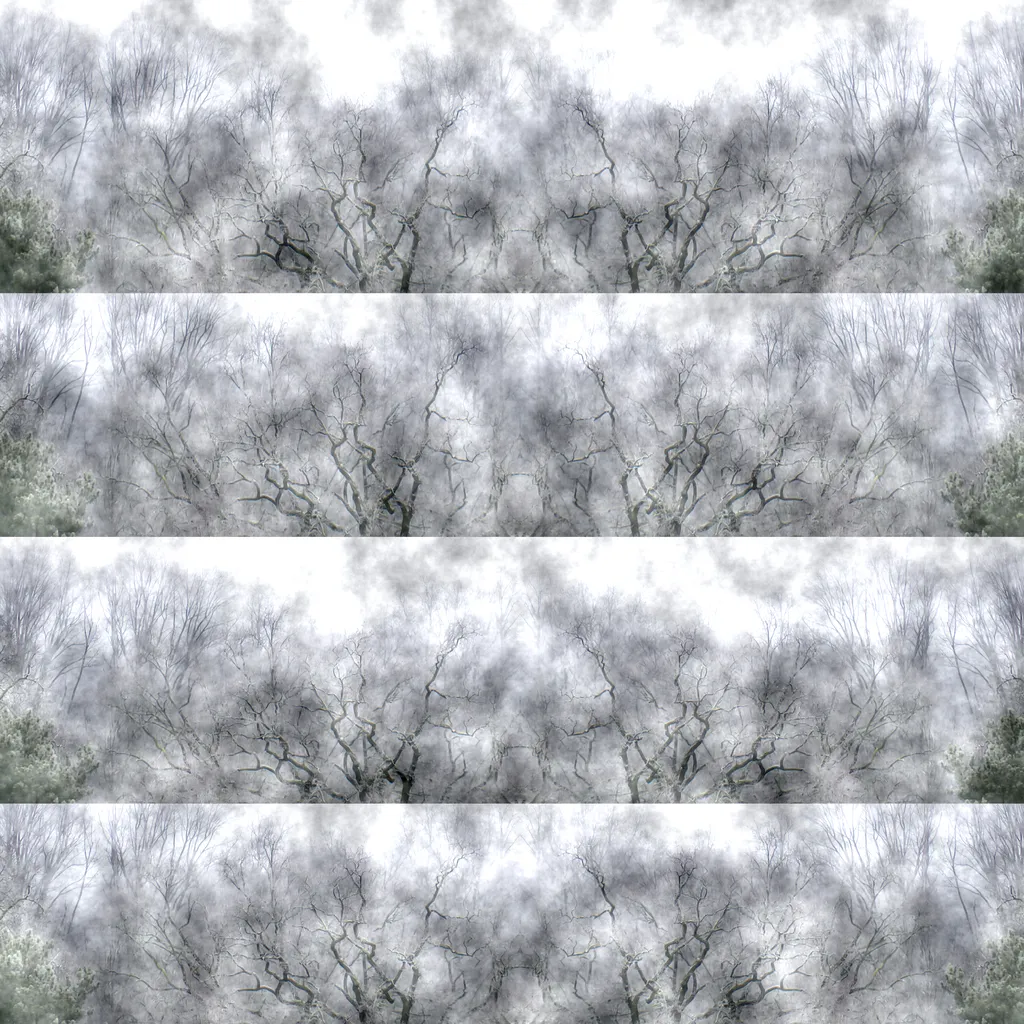 2 Sylvia Scannell Ergebnis