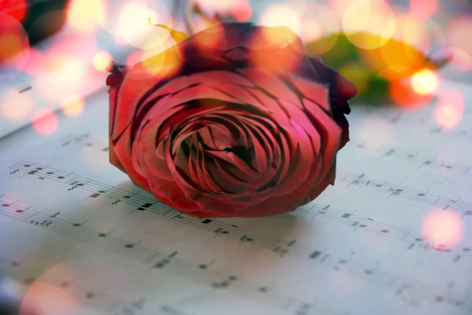 2 Dietmar Pfaff Rose Notenblatt Dietmar Pfaff Ergebnis