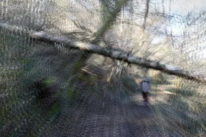 2 Renate Gumprich D Quergelegt Renate Gumprich Donau Ergebnis