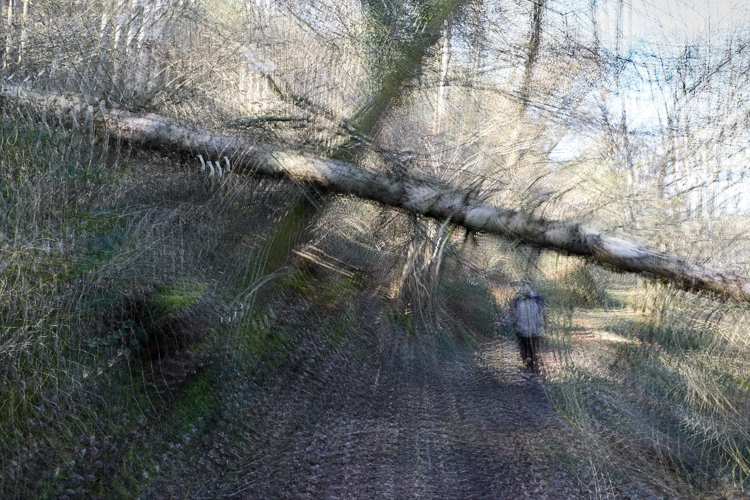 2 Renate Gumprich D Quergelegt Renate Gumprich Donau Ergebnis