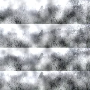 3 Sylvia Scannell Ergebnis