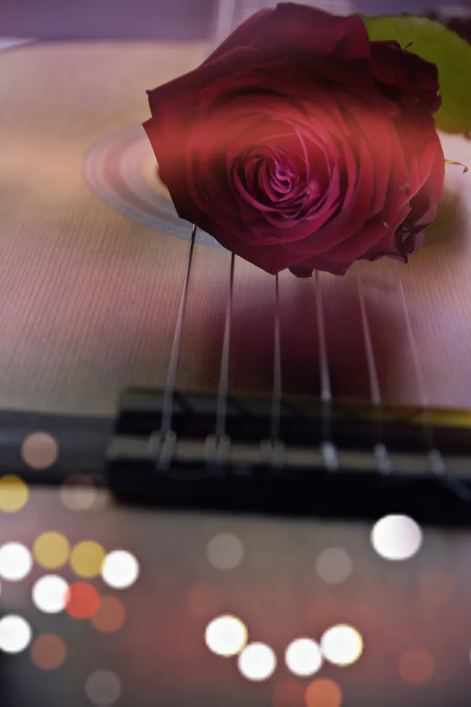 3 Dietmar Pfaff Rose Gitarre Dietmar Pfaff Ergebnis