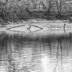 3 Helke Napierala Steinkreis Bei Flut Helke Nappi Ergebnis