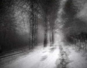 3 Renate Gumprich D An Der Bahn Entlang Renate Gumprich Donau Ergebnis