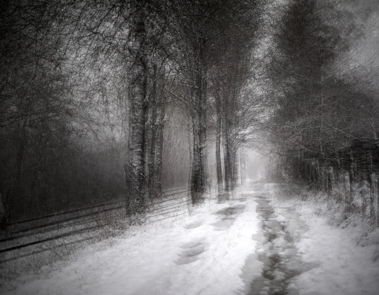 3 Renate Gumprich D An Der Bahn Entlang Renate Gumprich Donau Ergebnis