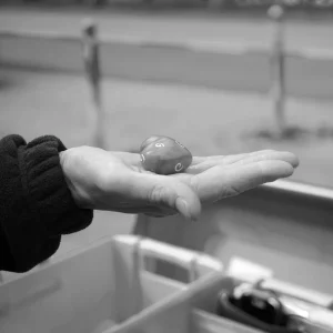 4 Sylvia Scannell Ergebnis