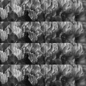 4 Sylvia Scannell Ergebnis