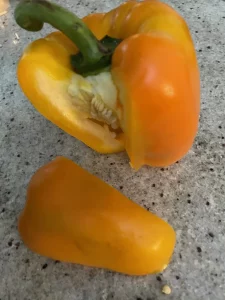 4 Una Viertel In Reinkultur Ergebnis