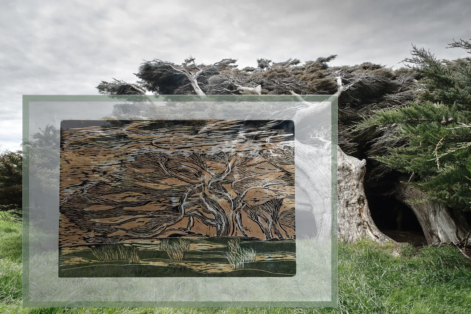 4 Renate Gumprich D Holzschnitt Mehrfarb Druck Renate Gumprich Donau Ergebnis