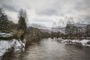 4 Renate Gumprich D über Die Brücke Renate Gumprich Donau Ergebnis