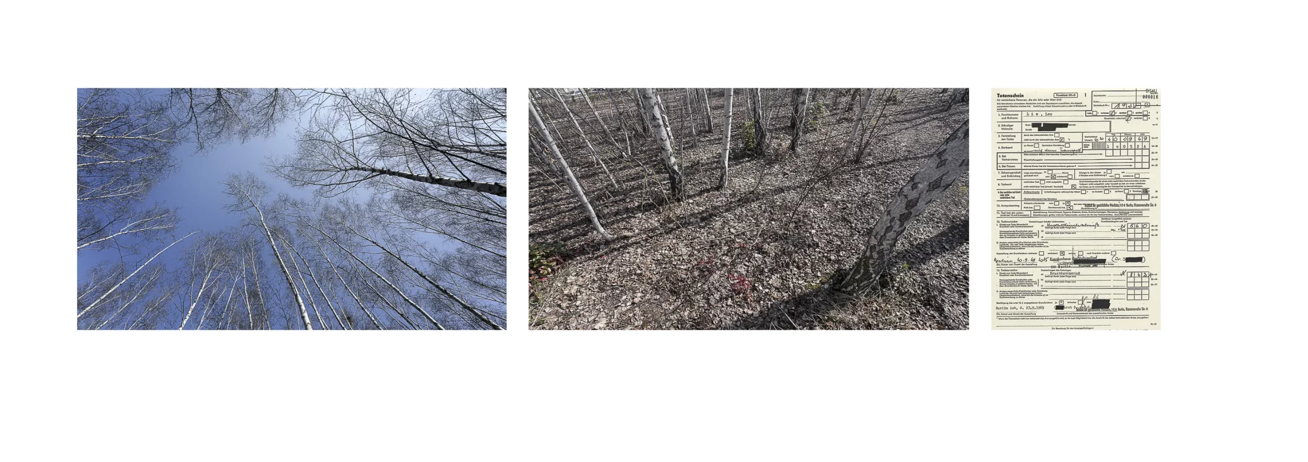 5 BH Benedikt Hofmann Ergebnis