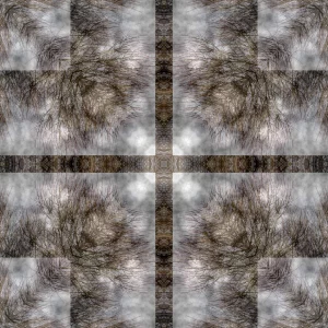 5 Sylvia Scannell Ergebnis