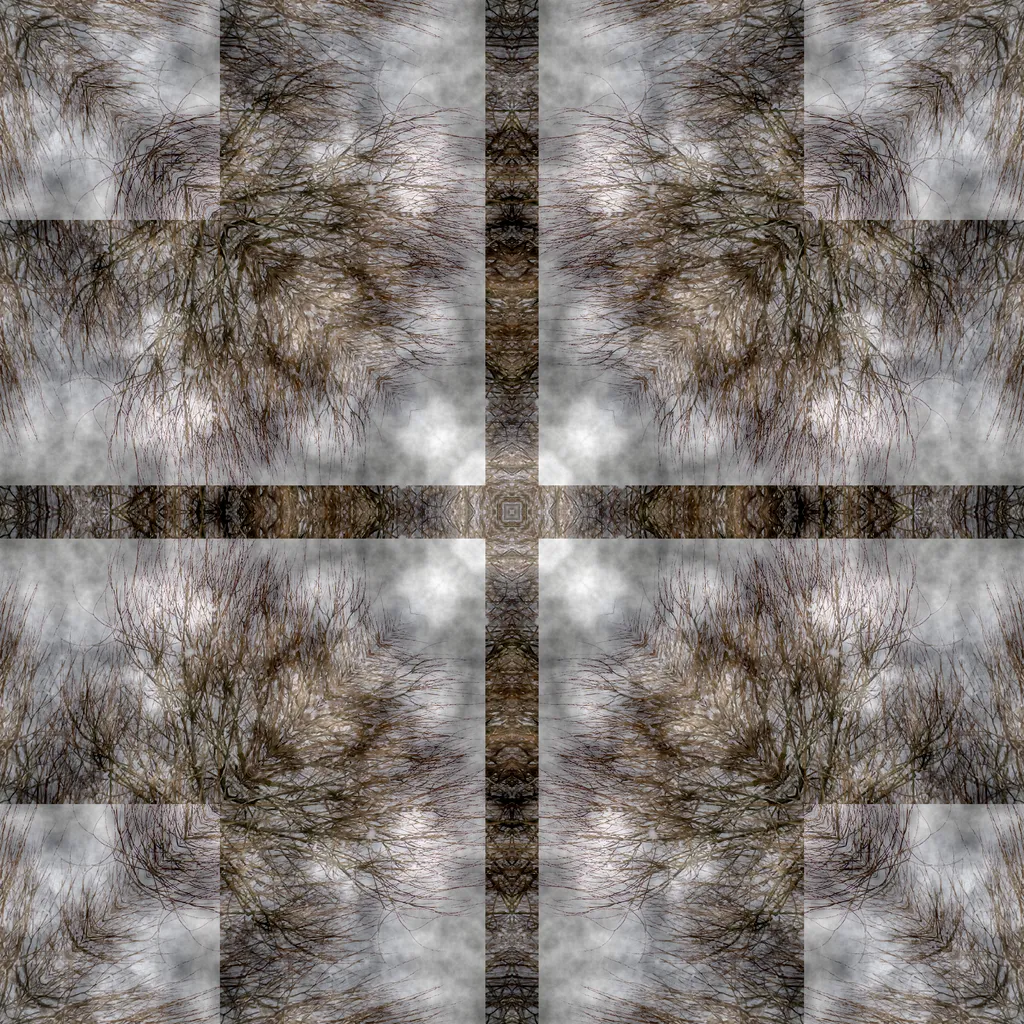 5 Sylvia Scannell Ergebnis