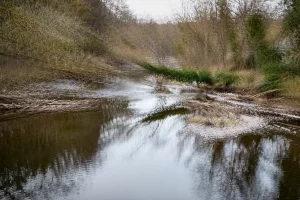 5 Renate Gumprich D Gefallen Renate Gumprich Donau Ergebnis
