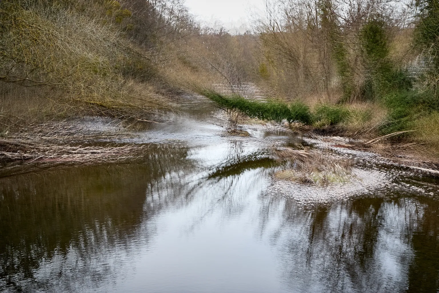 5 Renate Gumprich D Gefallen Renate Gumprich Donau Ergebnis