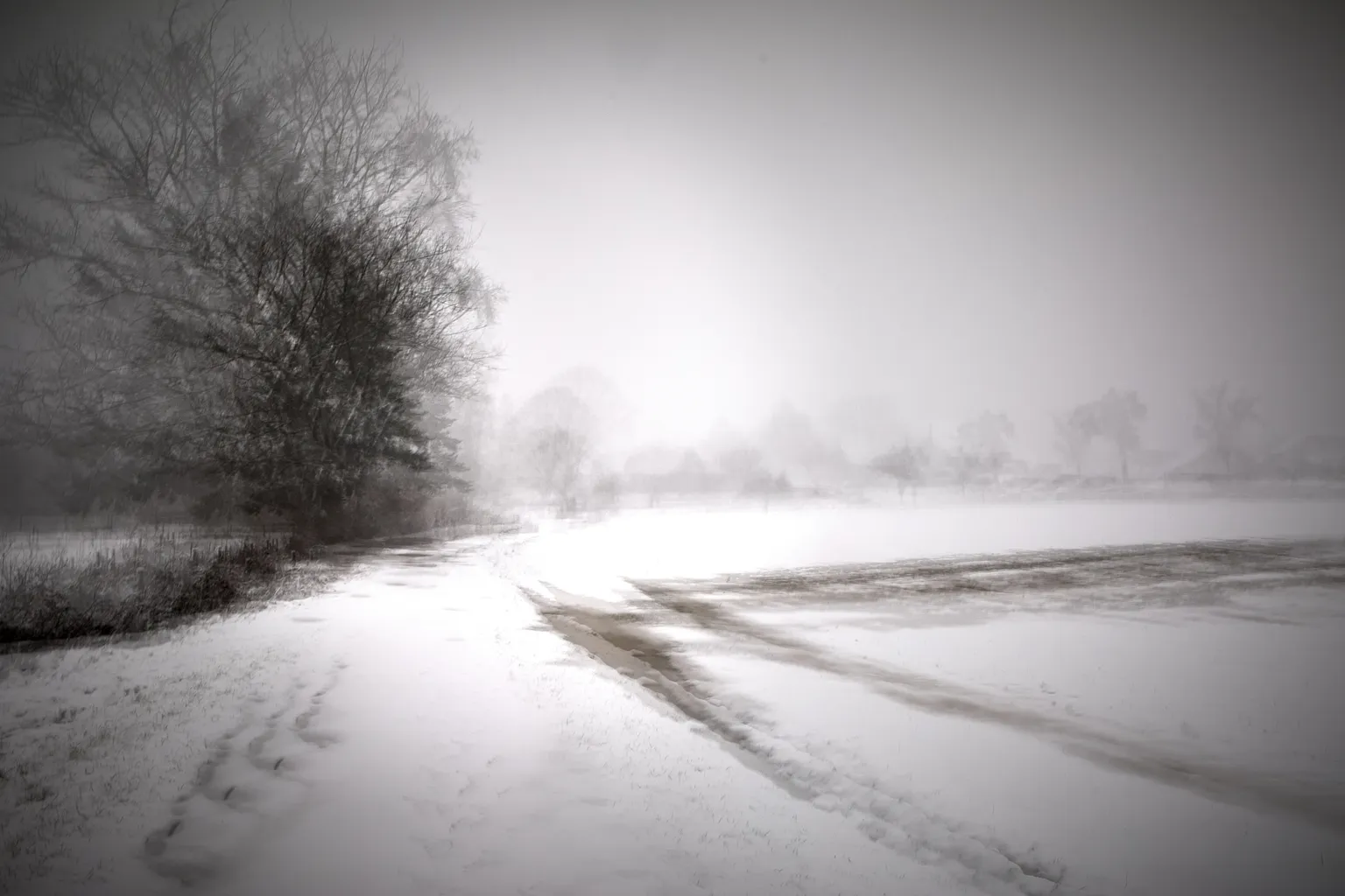 5 Renate Gumprich D Verschneite Felder Renate Gumprich Donau Ergebnis
