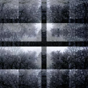 6 Sylvia Scannell Ergebnis