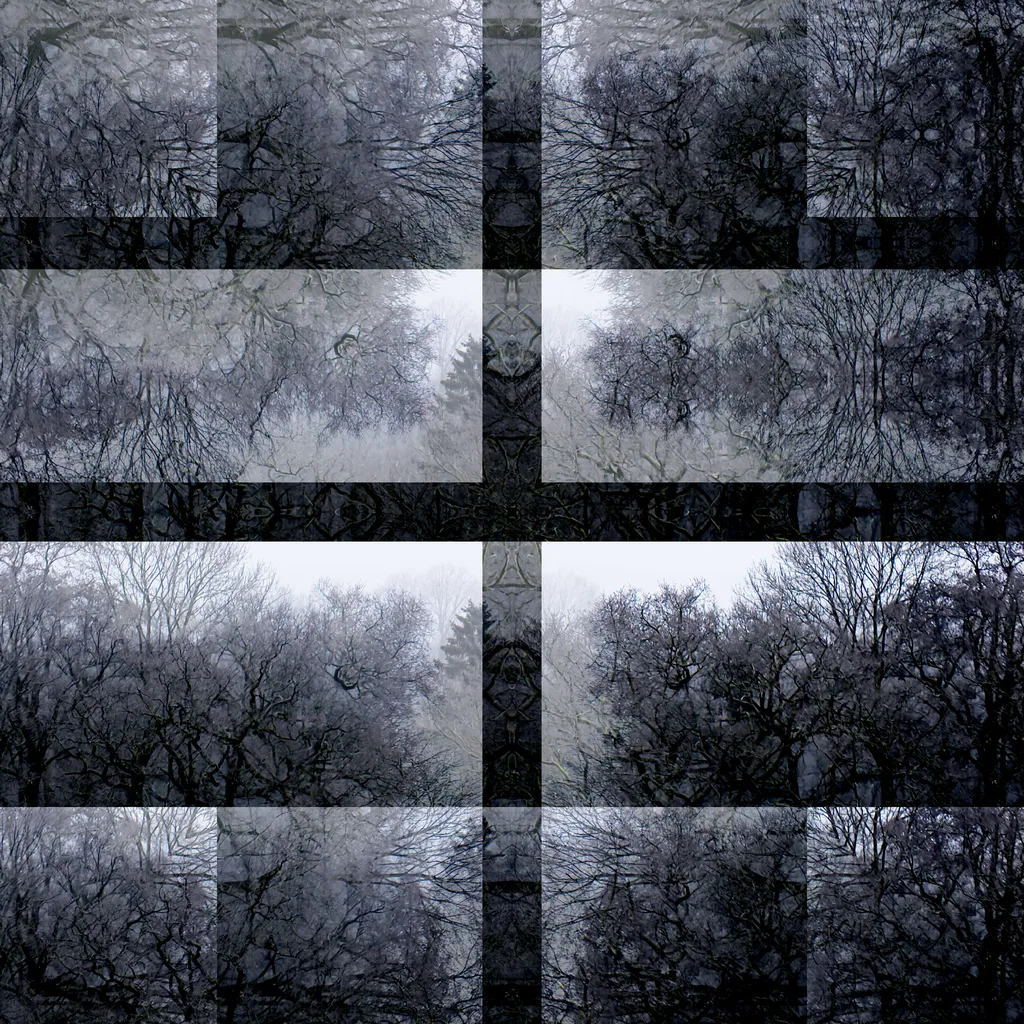 6 Sylvia Scannell Ergebnis