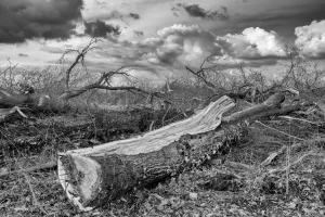 6 Esteban Lombeyda Esteban Lombeyda Ergebnis