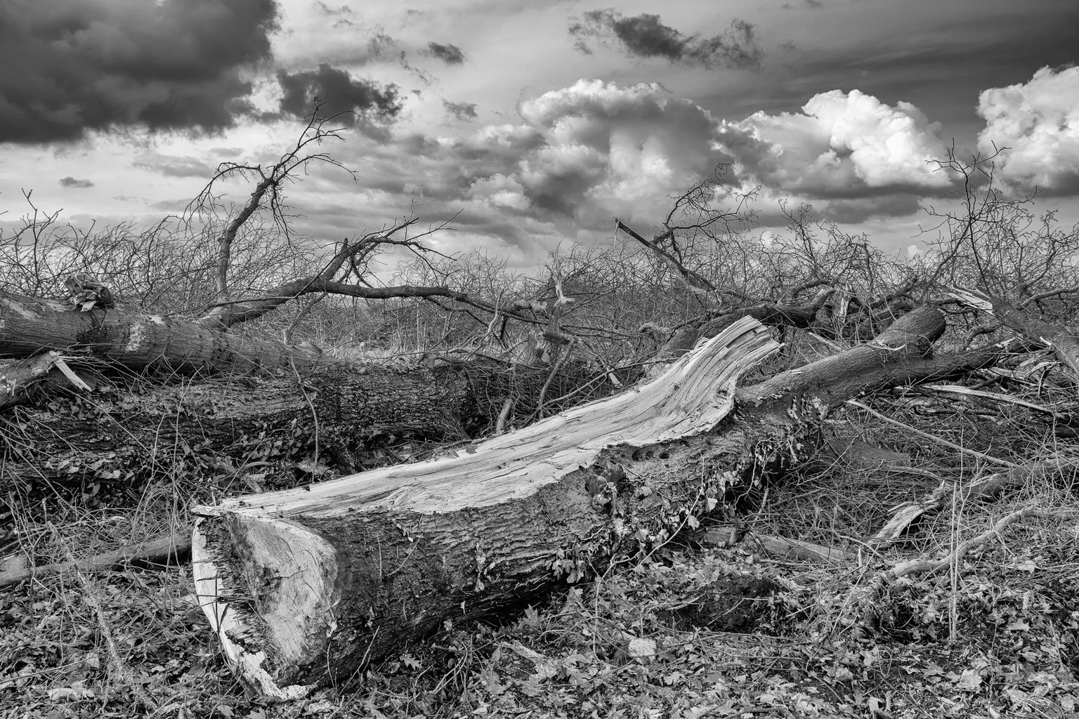 6 Esteban Lombeyda Esteban Lombeyda Ergebnis