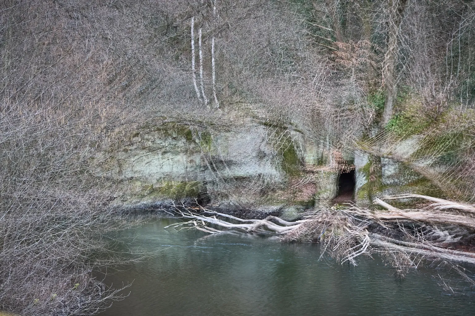 6 Renate Gumprich D Festgehalten Renate Gumprich Donau Ergebnis
