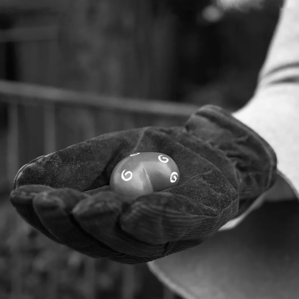 7 Sylvia Scannell Ergebnis