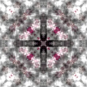 7 Sylvia Scannell Ergebnis