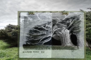 7 Renate Gumprich D Graphitzeichnung Renate Gumprich Donau Ergebnis