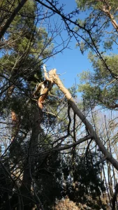 P1001476 Angelika Gusinde Ergebnis