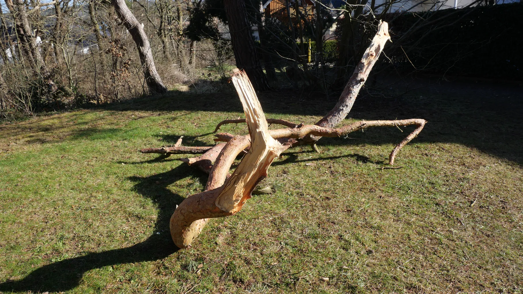 P1001477 Angelika Gusinde Ergebnis