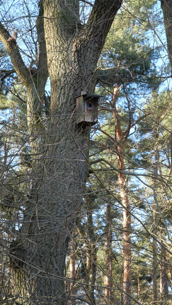 P1001497 Angelika Gusinde Ergebnis