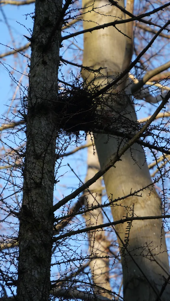 P1001500 Angelika Gusinde Ergebnis