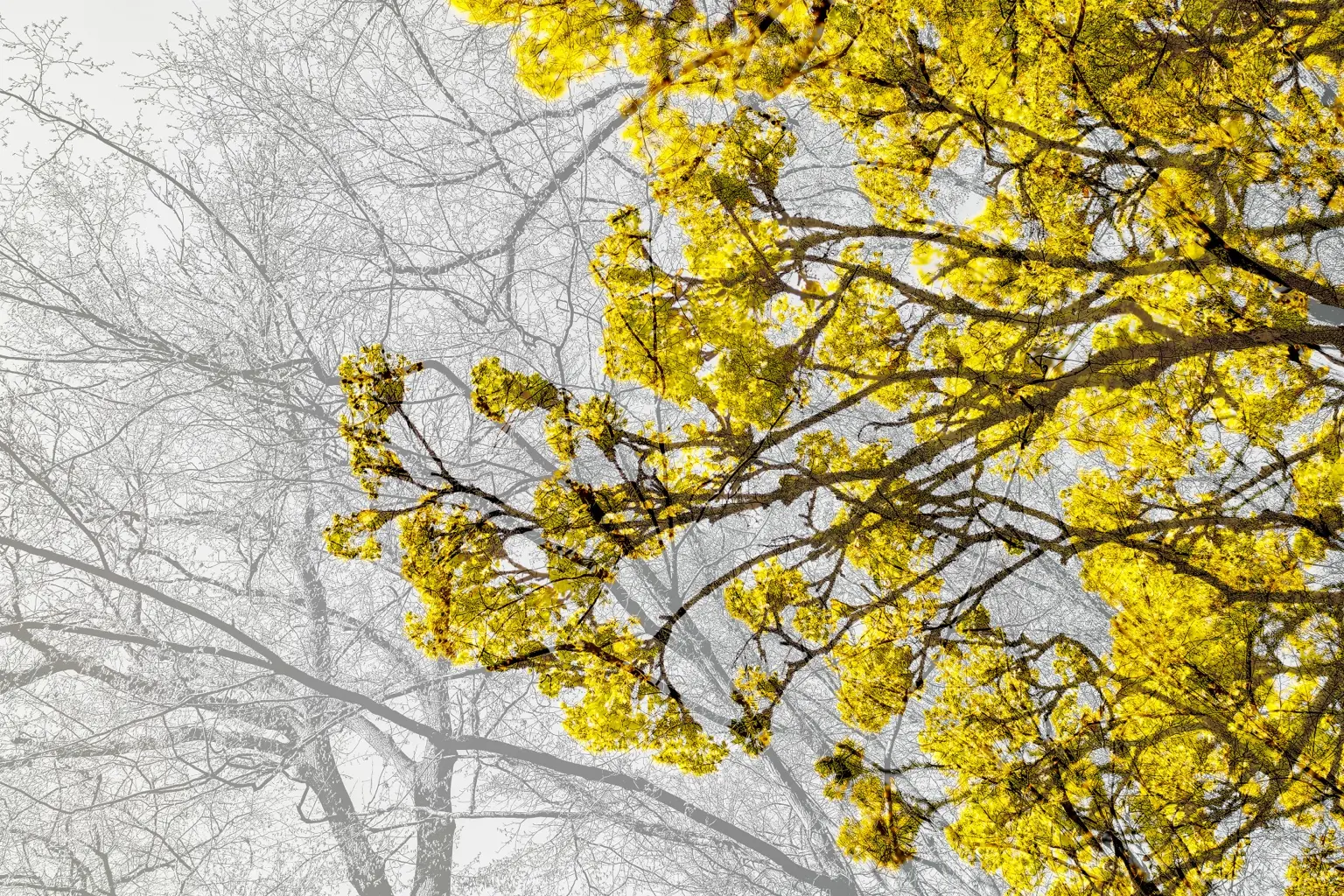 1 Dagmar Küsters Frühling1 Dagmar Küsters