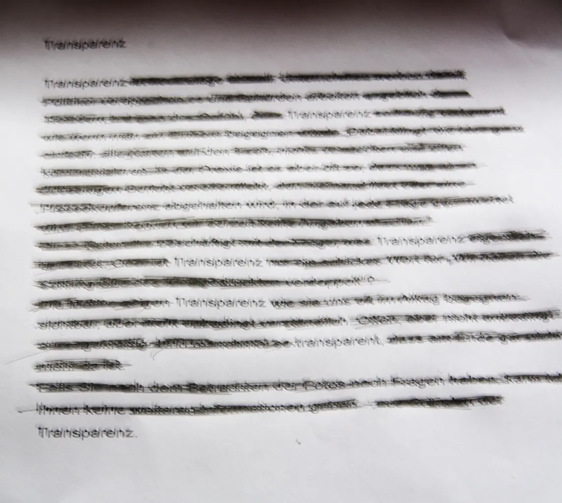 1 Dietmar Pfaff Text Transparenz Dietmar Pfaff