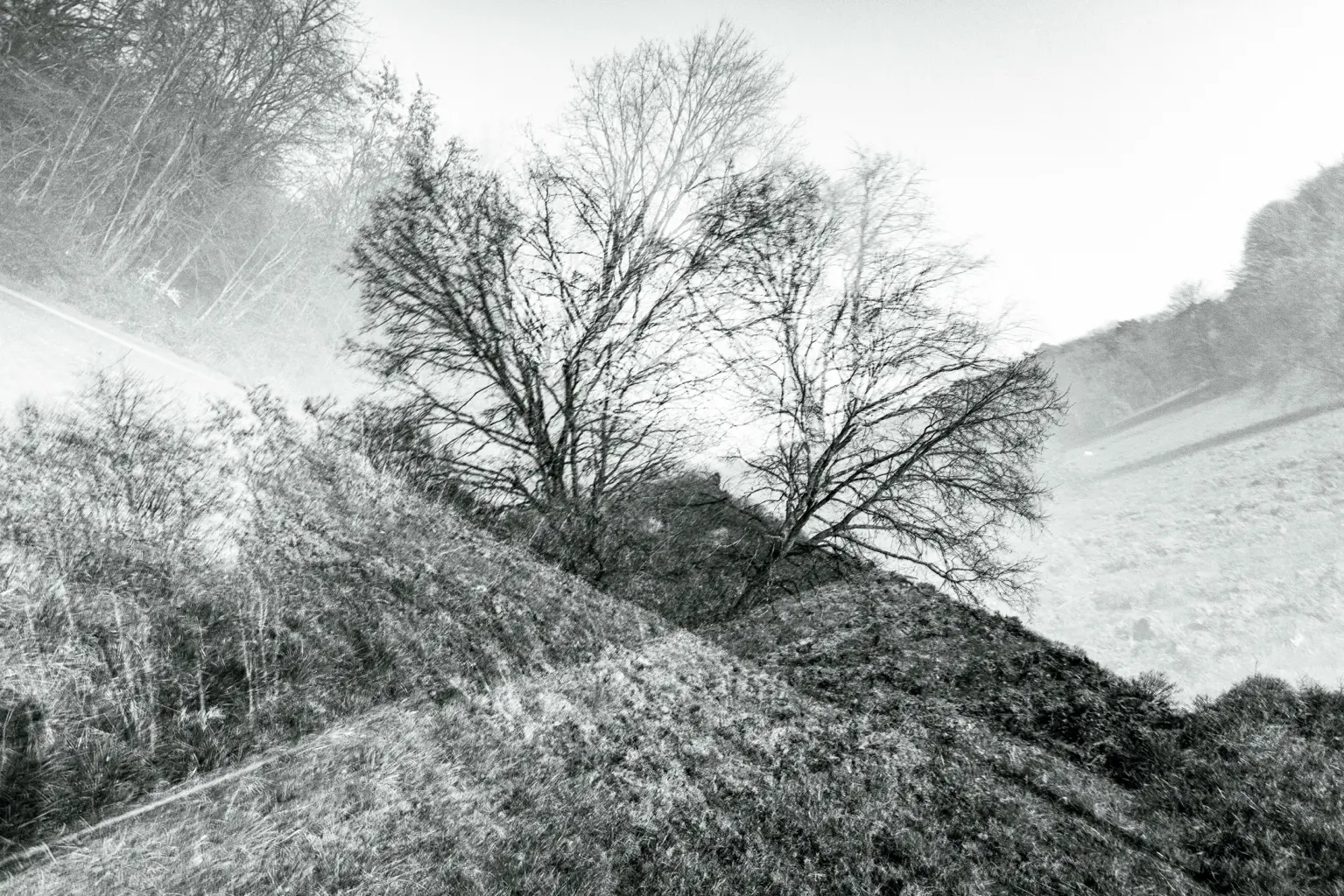 1 Karl Heinz Schmitz X Natur