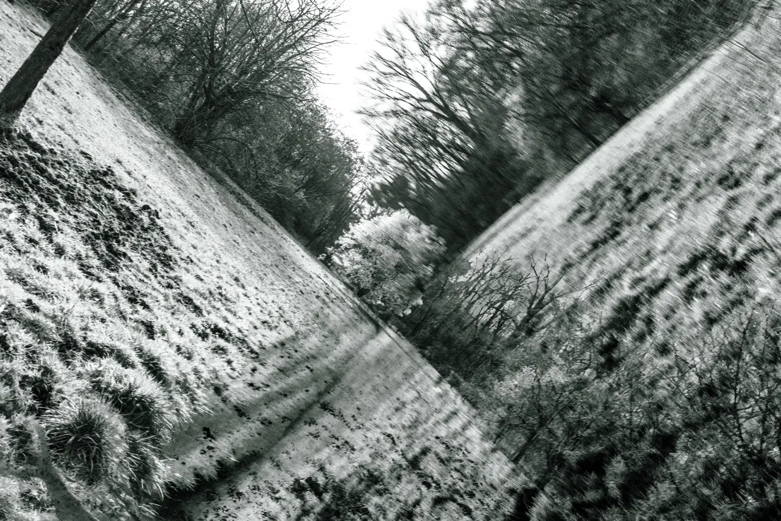 3 Karl Heinz Schmitz X Natur